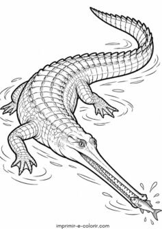 Gavial com focinho longo e fino pegando um peixinho na água