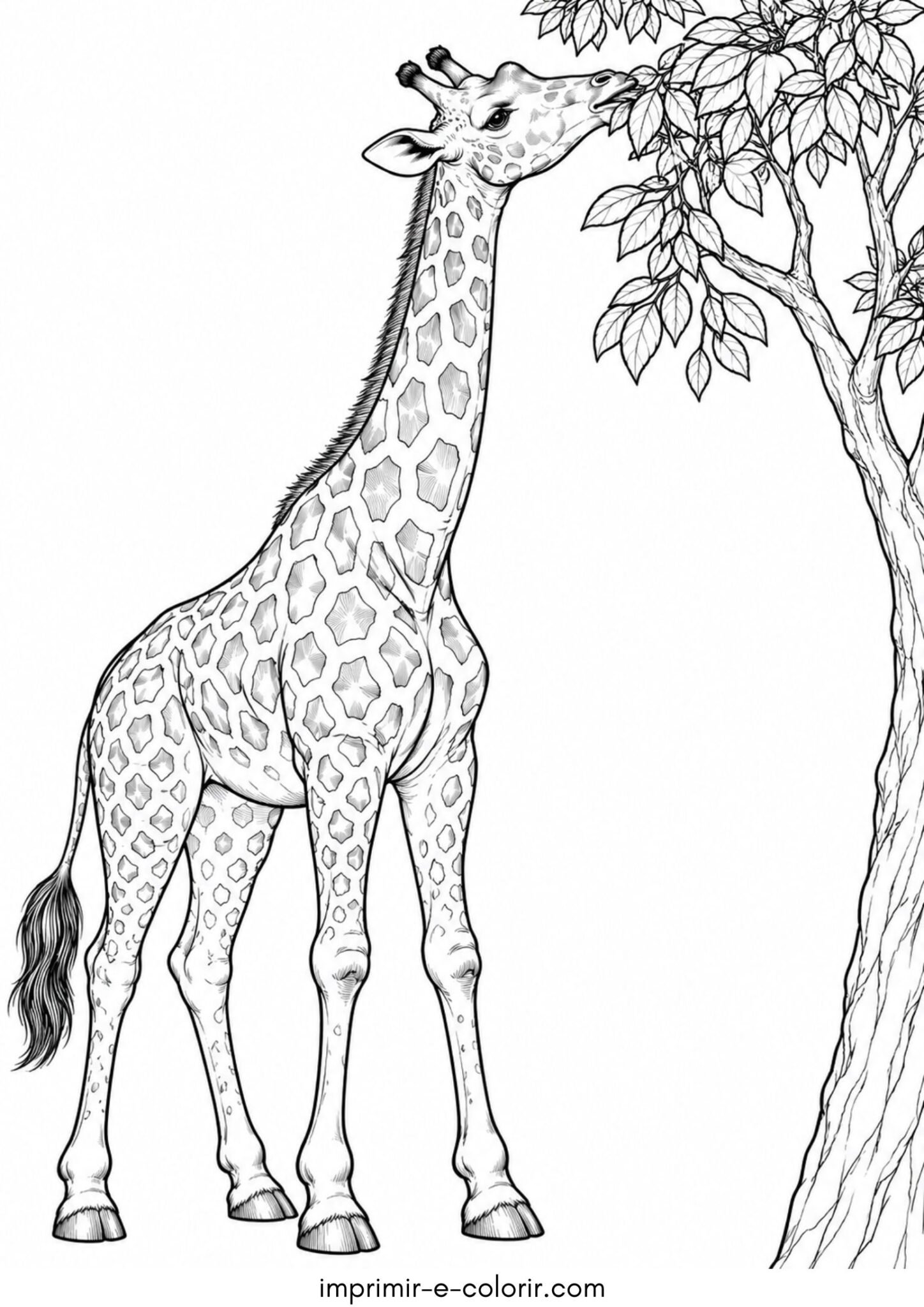 Desenho de Girafa comendo folhas de árvore alta