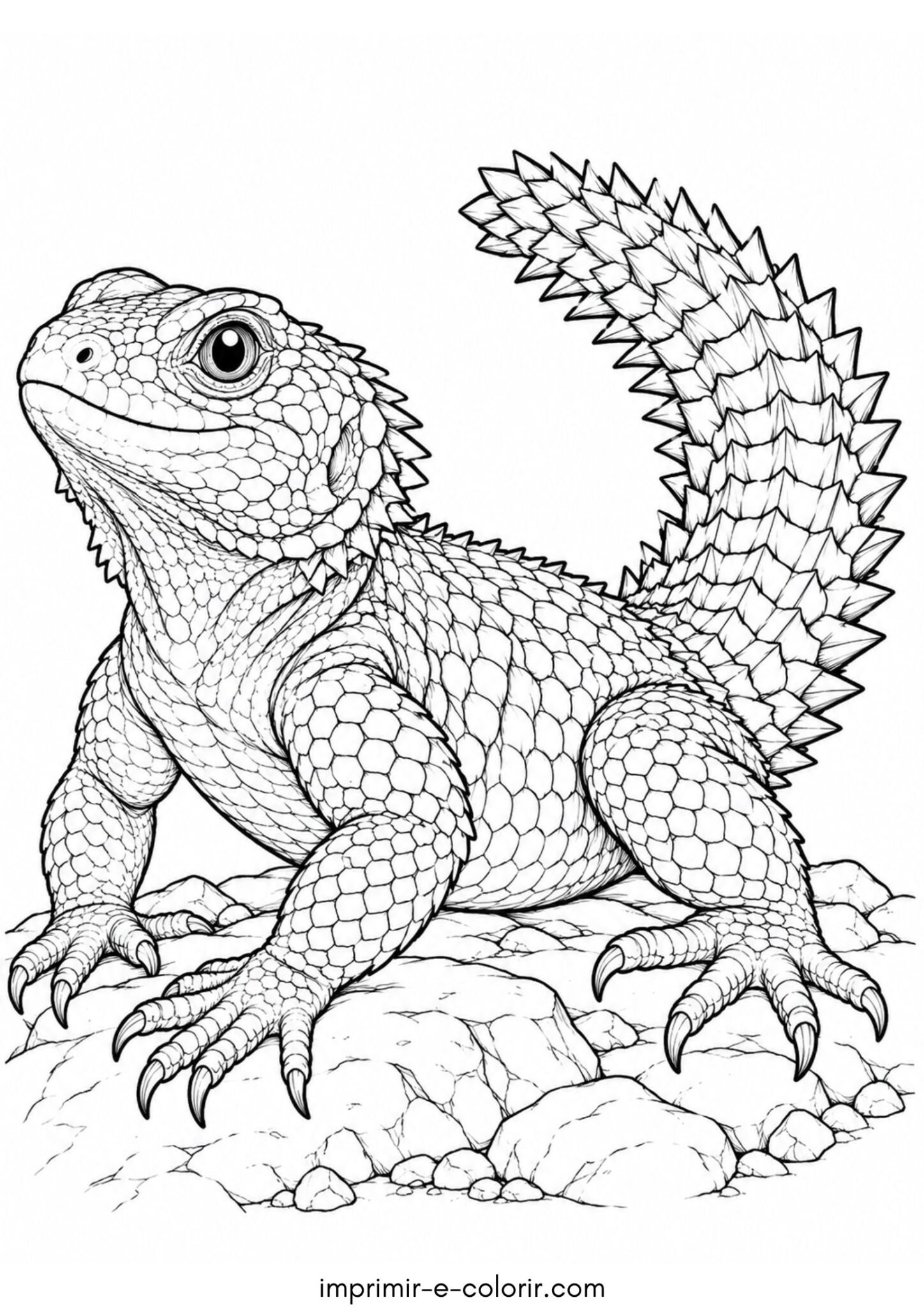 Desenho de Lagarto-de-cauda-espinhosa