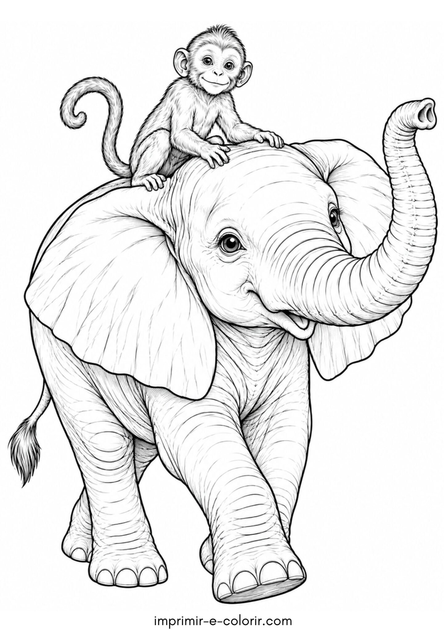 Desenho de Macaquinho nas costas do elefante
