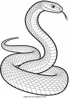 Mamba-negra