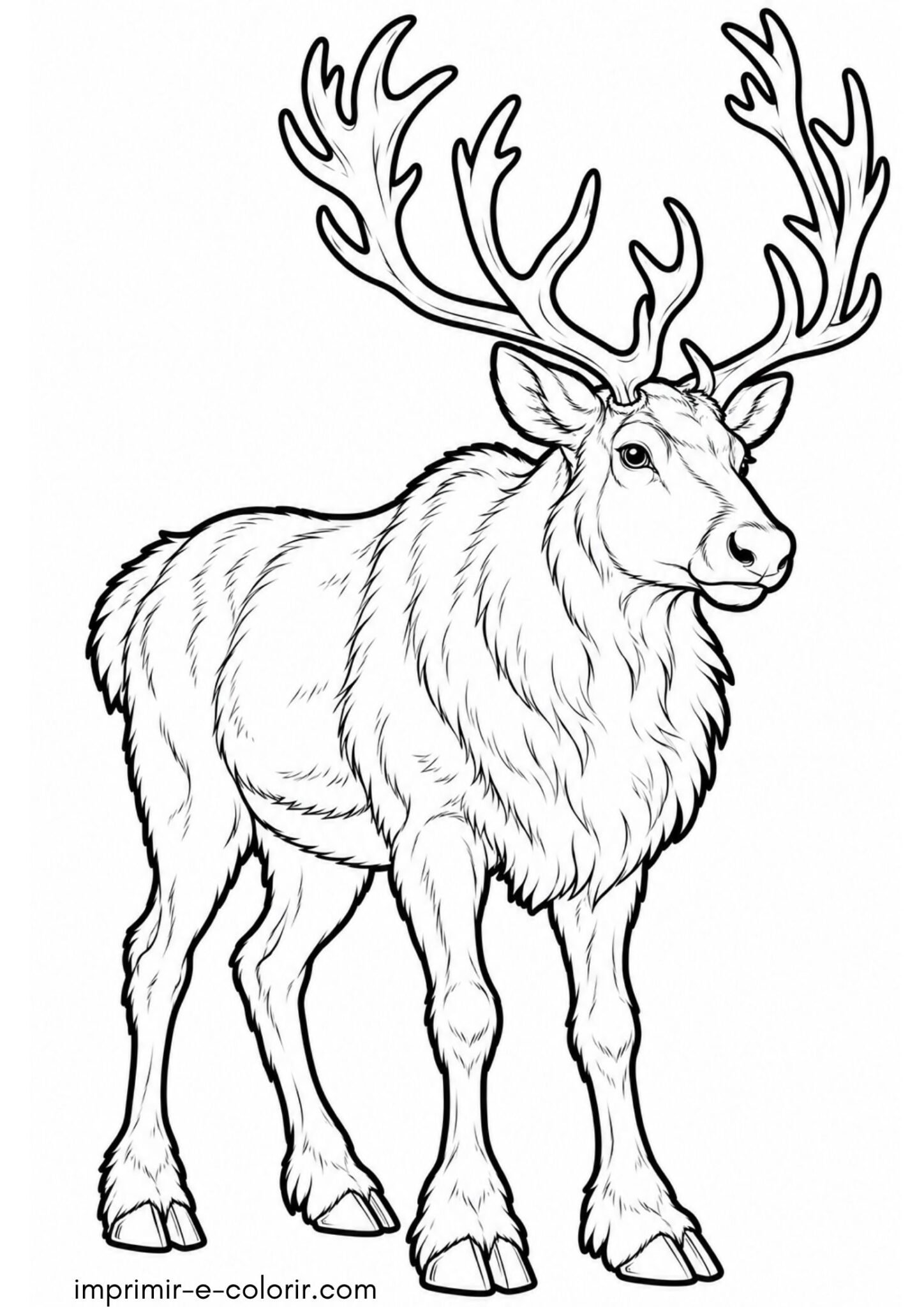 Desenho de Rena realista