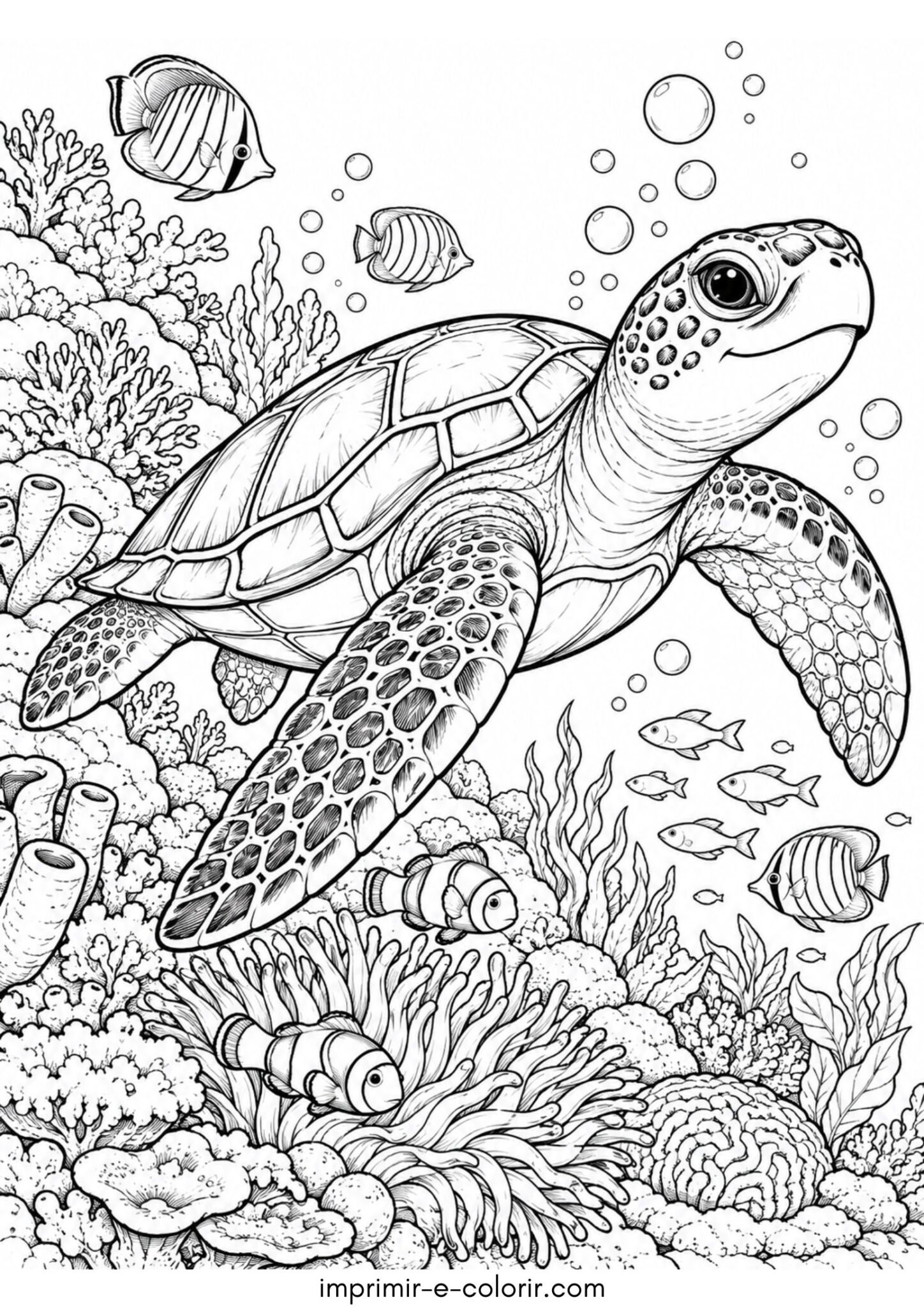 Desenho de Tartaruga marinha explorando o recife para colorir e imprimir