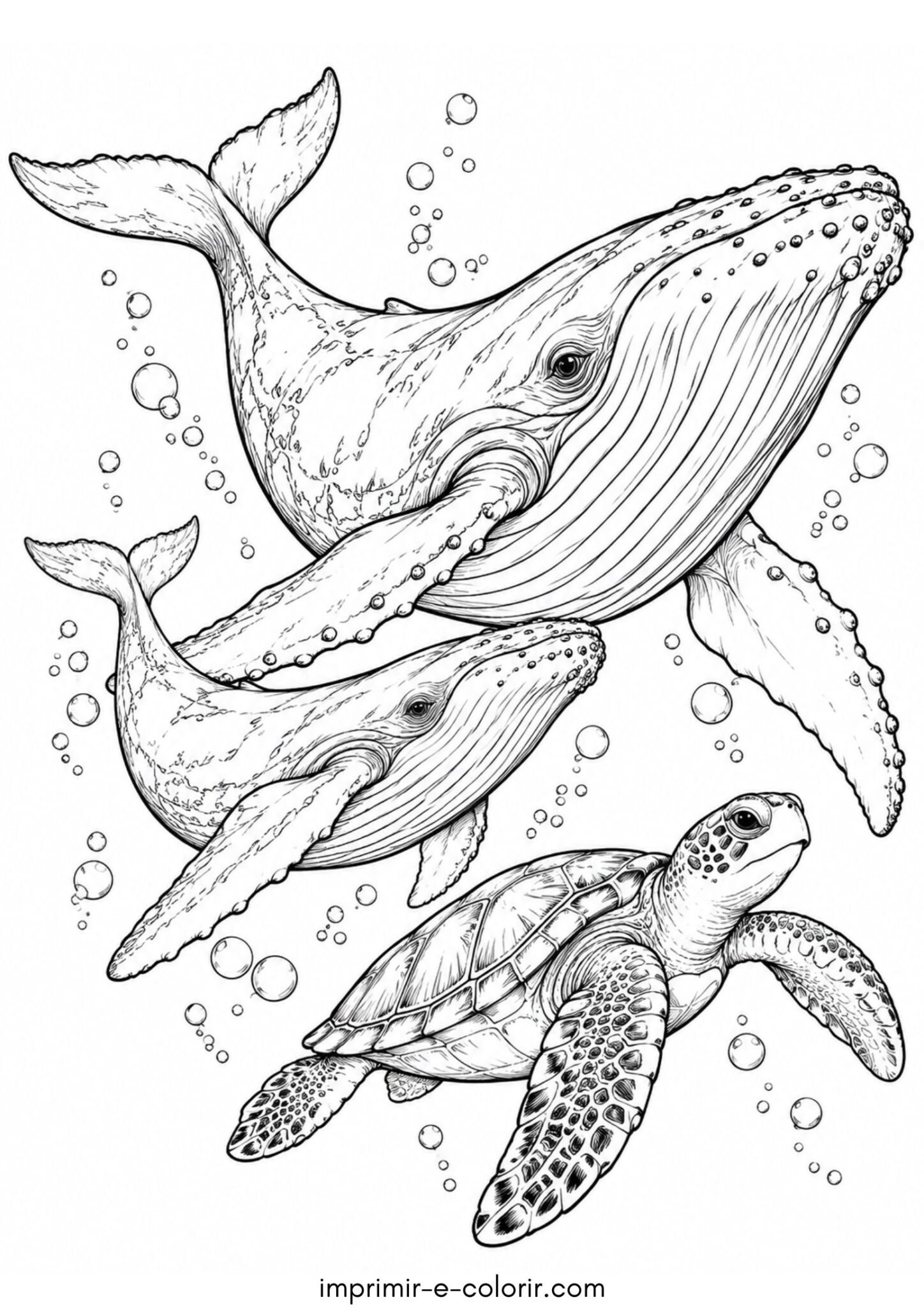 Desenho de Tartaruga marinha nadando perto de uma baleia-jubarte com seu filhote para colorir e imprimir