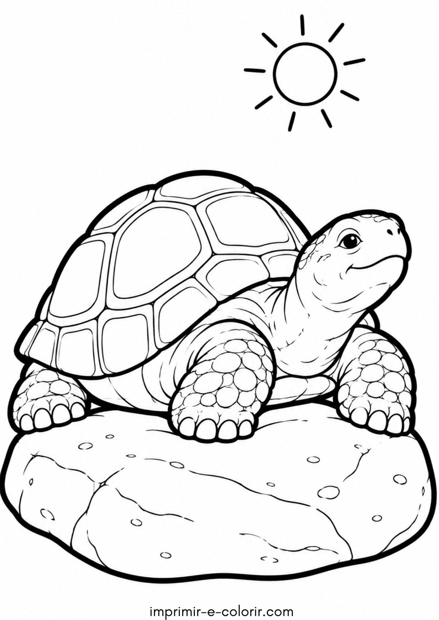Desenho de Tartaruga na pedra se aquecendo ao sol para colorir e imprimir