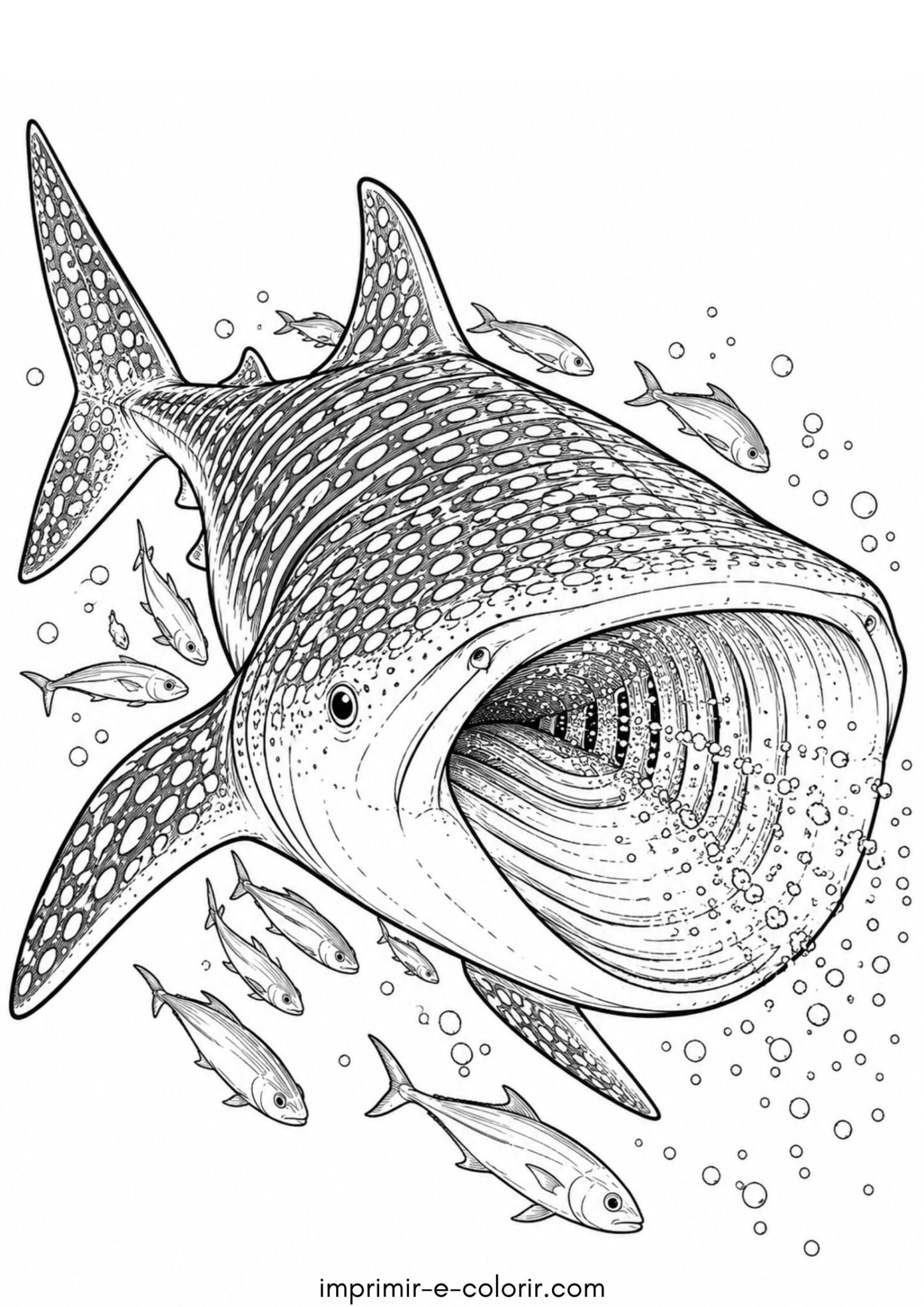 Desenho de Tubarão-baleia filtrando plâncton com a boca aberta