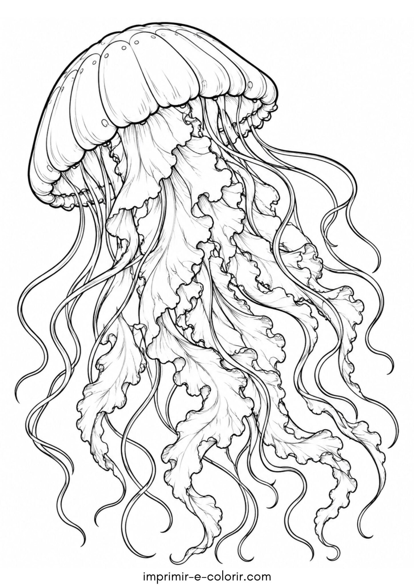 Desenho de Água-viva gigante com tentáculos longos e ondulados cheios de curvas